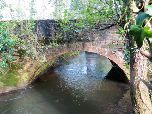 26.-Lutley-Bridge-upstream-arch-2