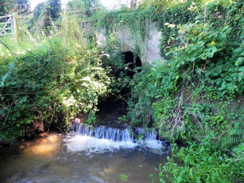 26.-Perry-Copse-Tributary-Stream-Bridge-downstream-arch-2