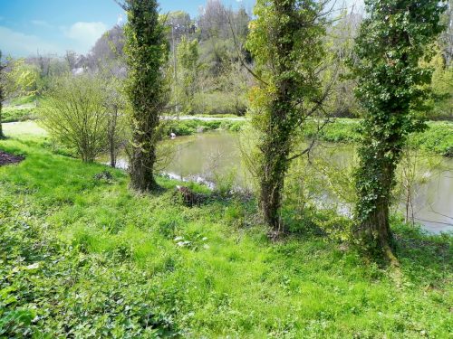 26.-Torr-Fishery-2
