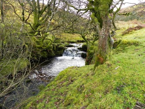 26.-Upstream-from-Colley-Water-2