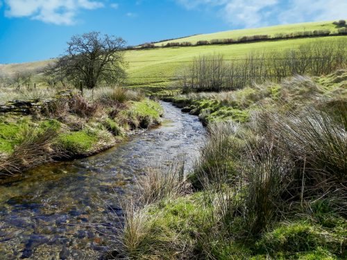 26.-Upstream-from-Sherdon-Farm-Ford-2