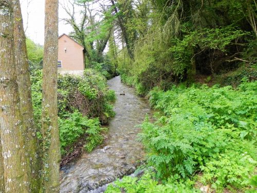 26.-Upstream-from-Traphole-road-bridge-2
