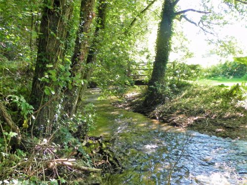 26.Tuck-Mill-ROW-footbridge-2