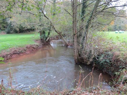 27-Downstream-from-Wellisford-11