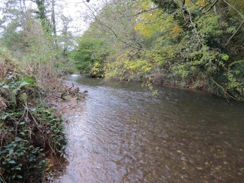 27-Downstream-from-Wellisford-12