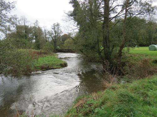 27-Downstream-from-Wellisford-3