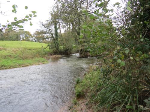 27-Downstream-from-Wellisford-4