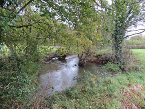27-Downstream-from-Wellisford-6