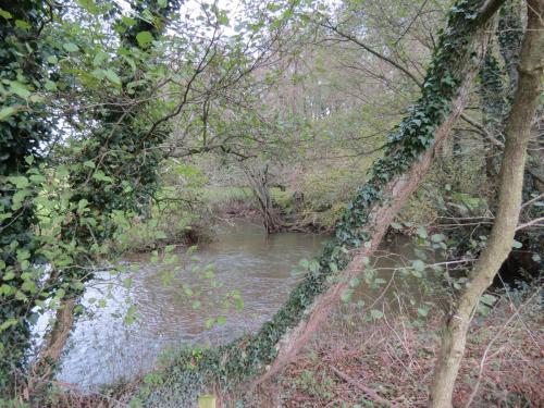 27-Downstream-from-Wellisford-8