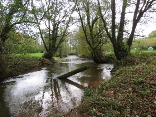27-Downstream-from-Wellisford-9