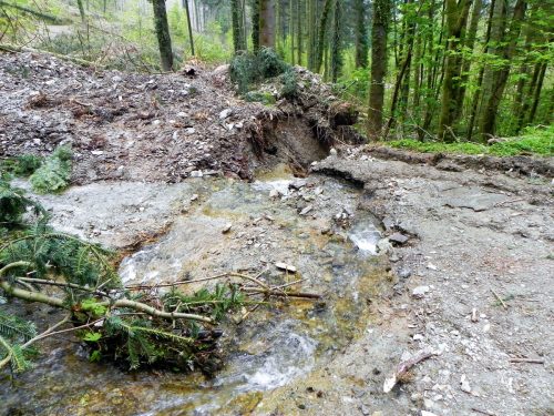 27.-Downstream-from-Forehill-Wood-waterfall-10 (1)