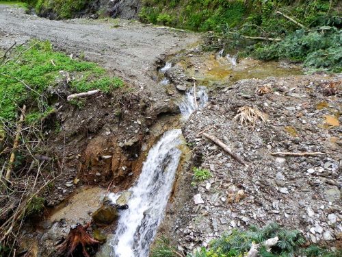 27.-Downstream-from-Forehill-Wood-waterfall-11 (1)
