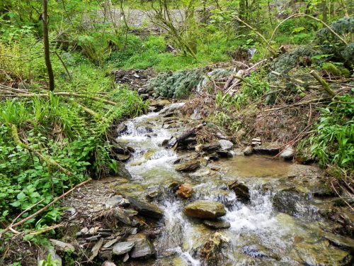 27.-Downstream-from-Forehill-Wood-waterfall-13 (1)