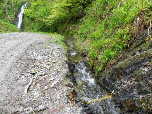 27.-Downstream-from-Forehill-Wood-waterfall-8 (1)