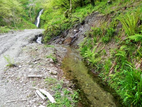 27.-Downstream-from-Forehill-Wood-waterfall-9 (1)
