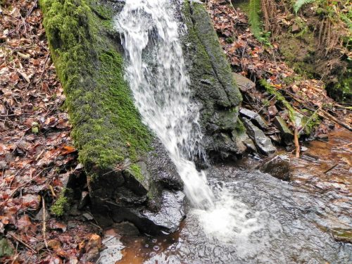 27.-Downstream-from-Luccombe-Plantation-Bridge-2