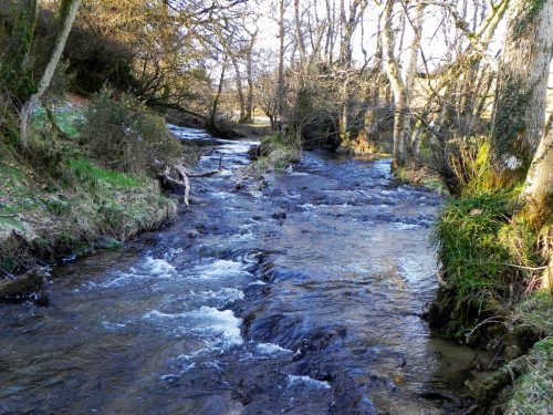 27.-Downstream-from-Luckwell-Bridge-2