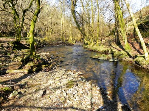 27.-Downstream-from-Lyncombe-Bridge-2