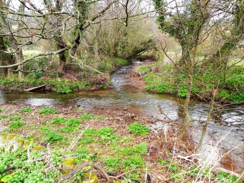 27.-EWaters-join-from-Elsworthy-Allotment-2