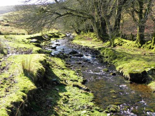 27.-Flowing-below-Furzehill-Common-2