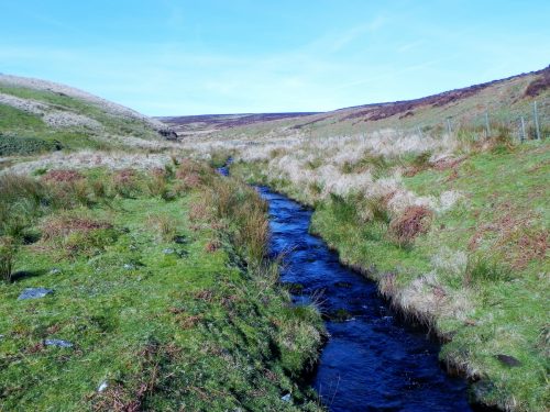 27.-Flowing-below-Hoccombe-Hill-2