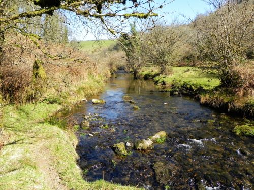 27.-Flowing-below-Shircombe-Farm-2