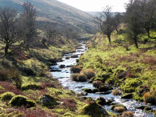 27.-Flowing-below-Stowey-Ridge-2