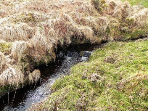 27.-Flowing-past-Hurdle-Down-2