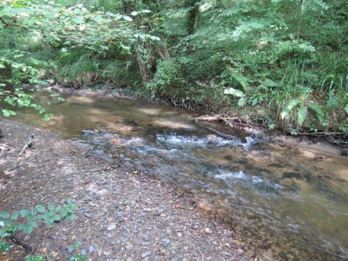 27.-Flowing-through-Clover-Close-Copse