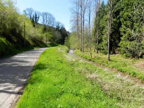27.-Flowing-through-Druids-Combe-Wood-10