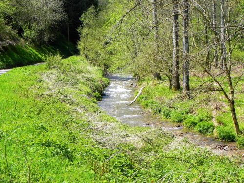 27.-Flowing-through-Druids-Combe-Wood-11