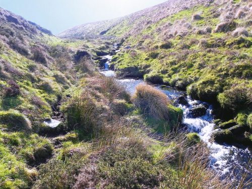 27.-Flowing-through-Madacombe-3