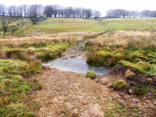 27.-Ford-Long-Combe-2