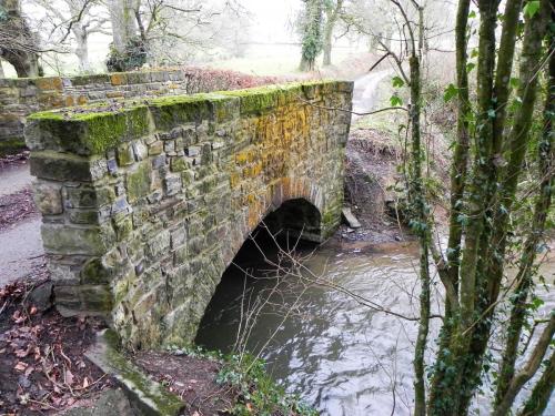 27.-Haynemoor-Wood-Bridge-upstream-arch-2