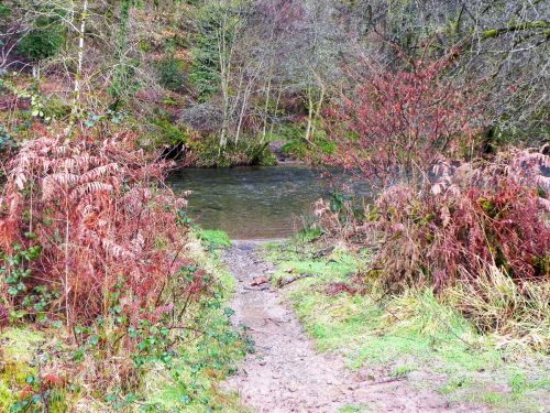 27.-Horse-crossing-Near-Lea-Wood-2