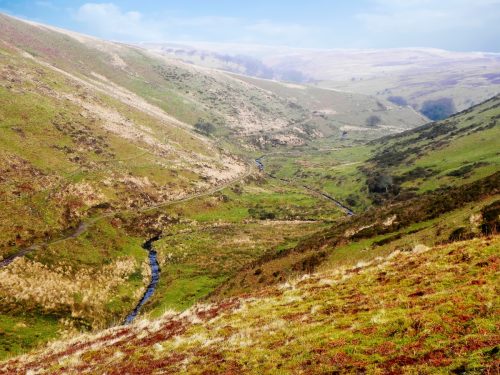 27.-Looking-down-the-Hoar-Oak-Valley-from-Exe-Plain-3