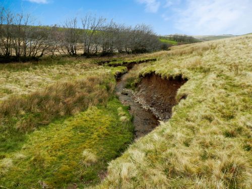 27.-Looking-downstream-from-Litton-Ford-2