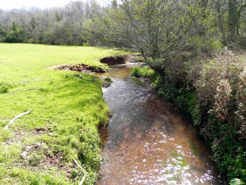 27.-Looking-upstream-from-Honicote-House-Accommodation-Bridge-2