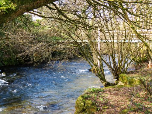 27.-Looking-upstream-to-Pipe-bridge-2
