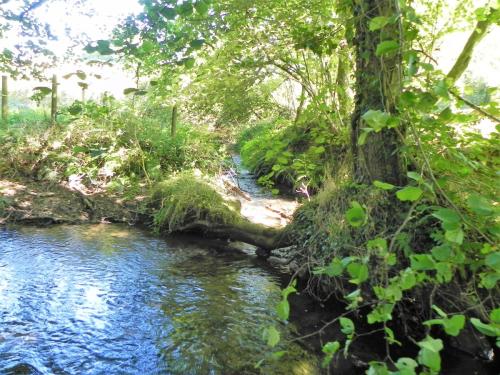 27.-Perry-Copse-Tributary-Stream-joins-river-Tone-2