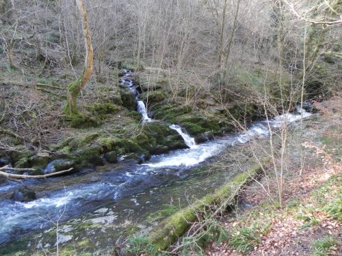 27.-Through-Long-Pool-Wood