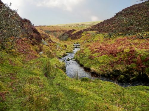 27.-Upstream-from-Colley-Water-2