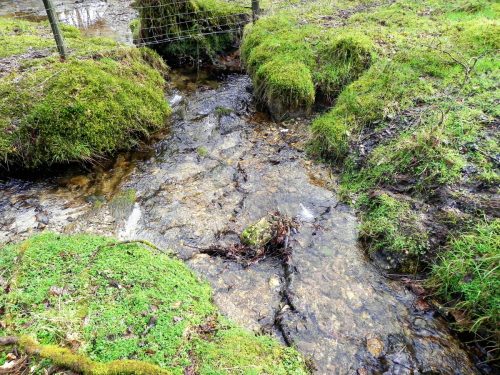27.-Waters-join-from-Ash-Combe-2