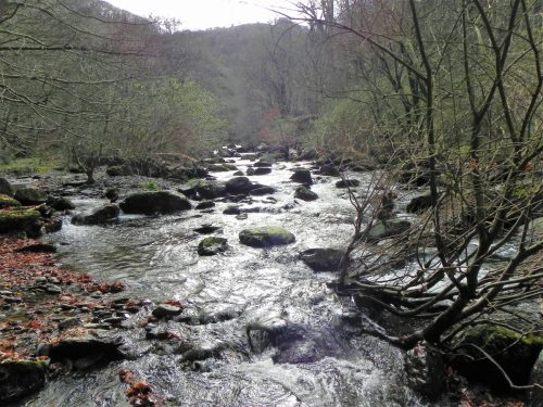 28.-Downstream-from-Blackpool-Bridge-2