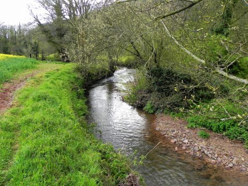 28.-Downstream-from-Frackford-Bridge-2