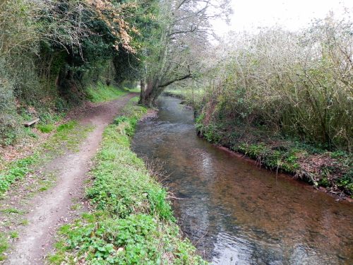 28.-Downstream-from-Lower-Allerford-Footbridge-2