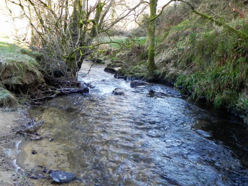 28.-Downstream-from-Luckwell-Bridge-2