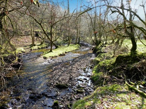 28.-Downstream-from-Lyncombe-Bridge-2