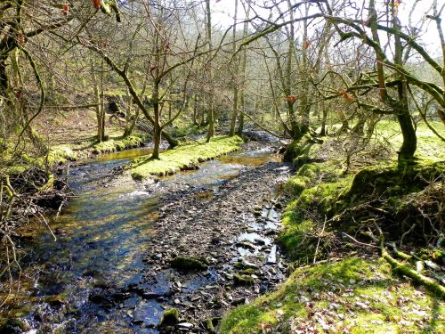 28.-Downstream-from-Lyncombe-Bridge-3