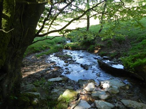 28.-Downstream-from-join-with-Treborough-Headwaters-1